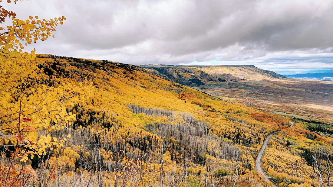 10 Great Hikes in the Grand Valley: Palisade, Grand Junction & Fruita