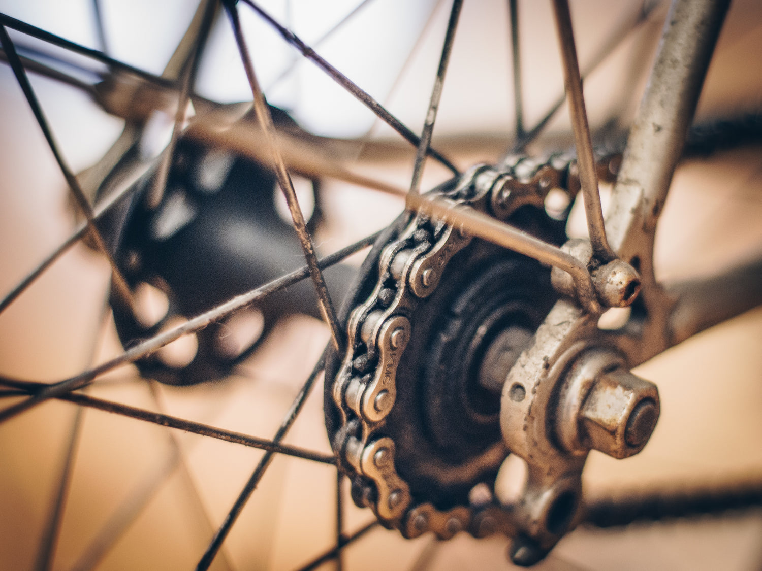 Close-up of a bicycle chain on a bike wheel.