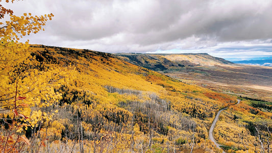 10 Great Hikes in the Grand Valley: Palisade, Grand Junction & Fruita