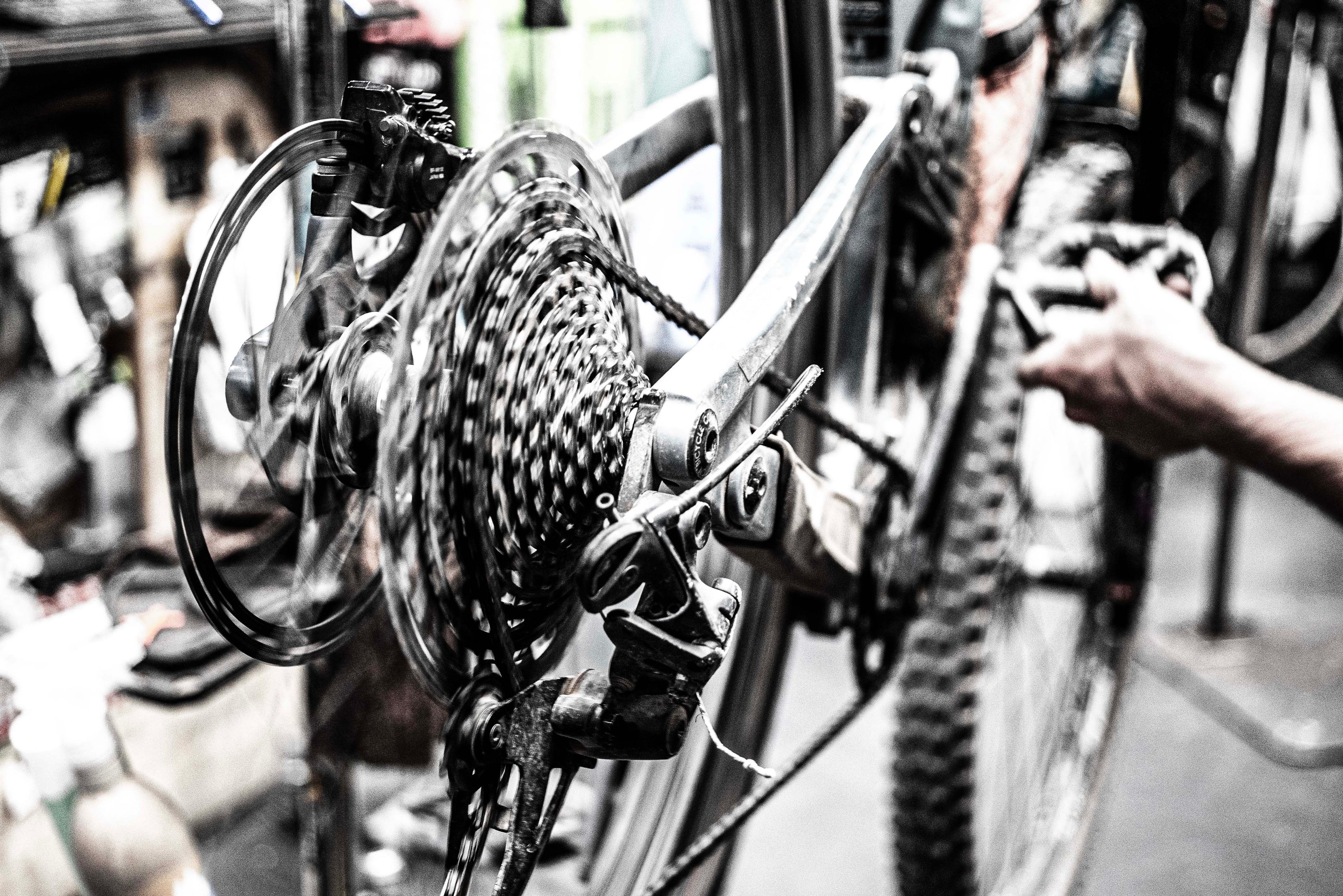 mountain bike service grand junction